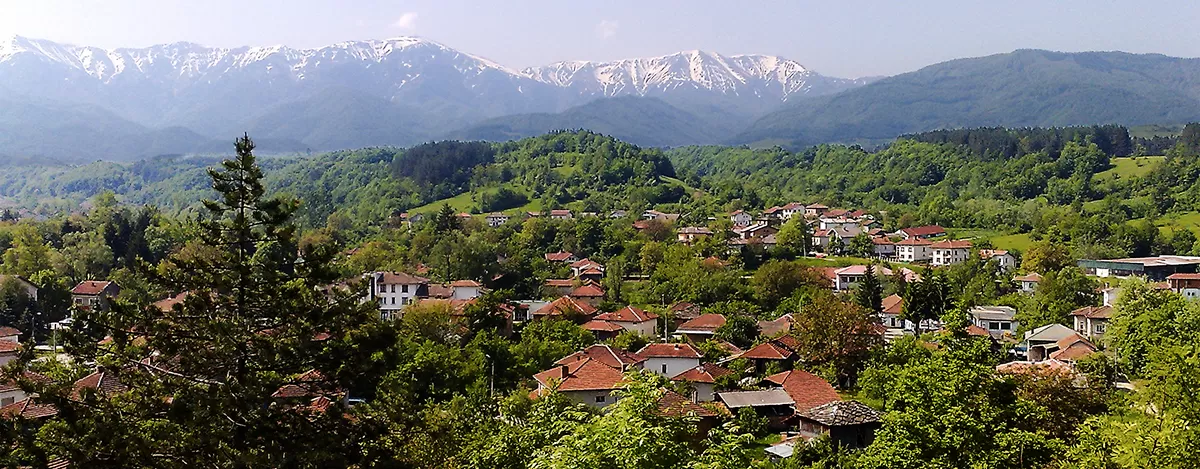 Красавица в красных чулках села на член